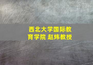 西北大学国际教育学院 赵炜教授